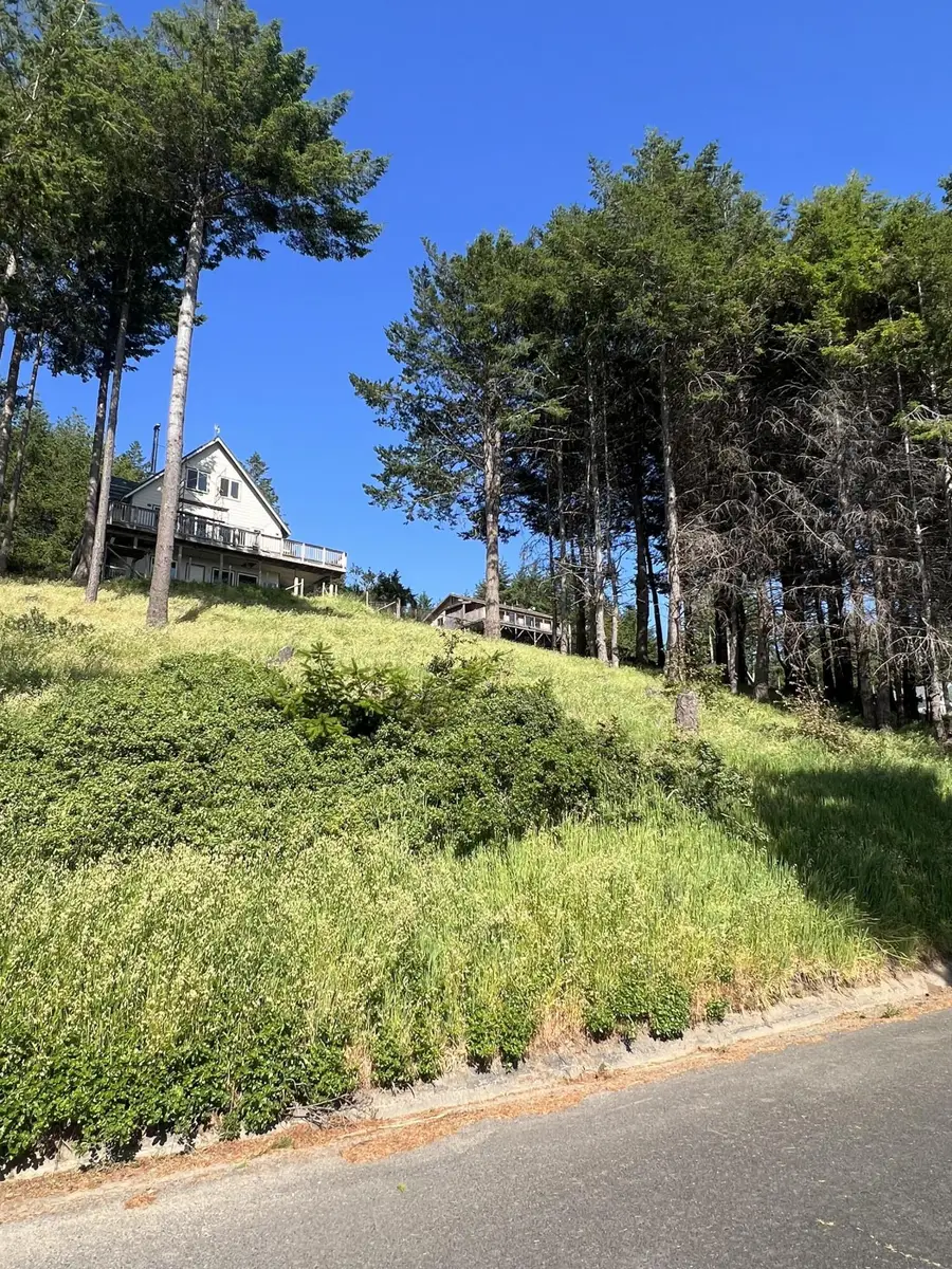 124 Albatross Road, Shelter Cove, CA 95589 - Image #3