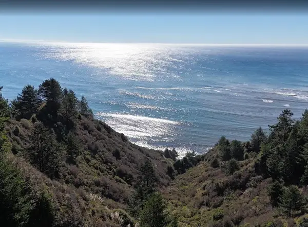 141 E Cove Point, Whitethorn, CA 95589