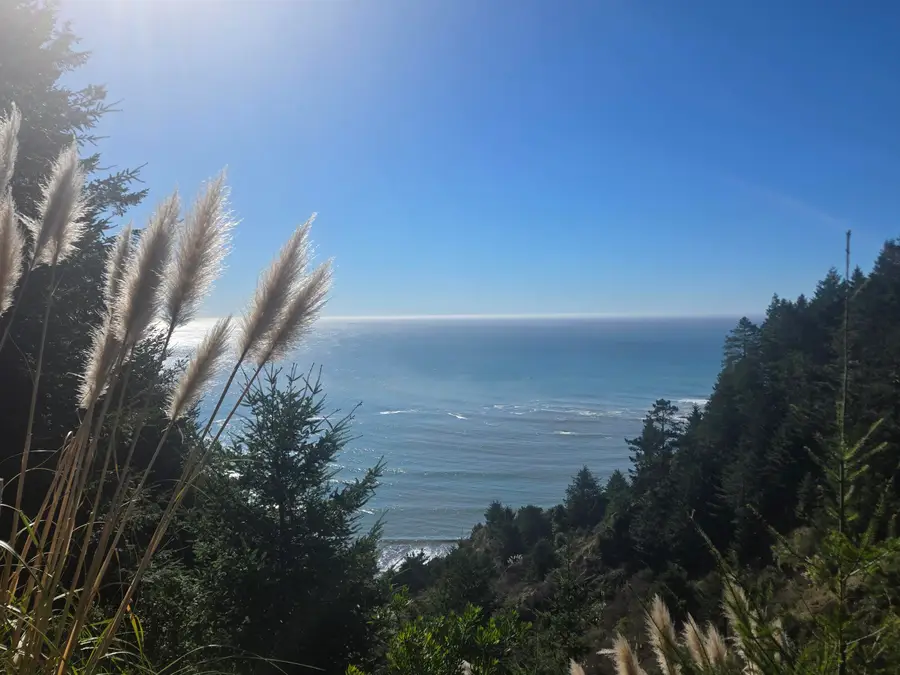 141 E Cove Point, Whitethorn, CA 95589 - Image #2