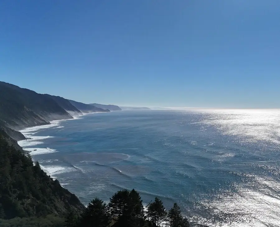 141 E Cove Point, Whitethorn, CA 95589 - Image #3