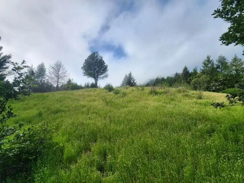 65 Eileen Road, Shelter Cove, CA 95589 - Image #2