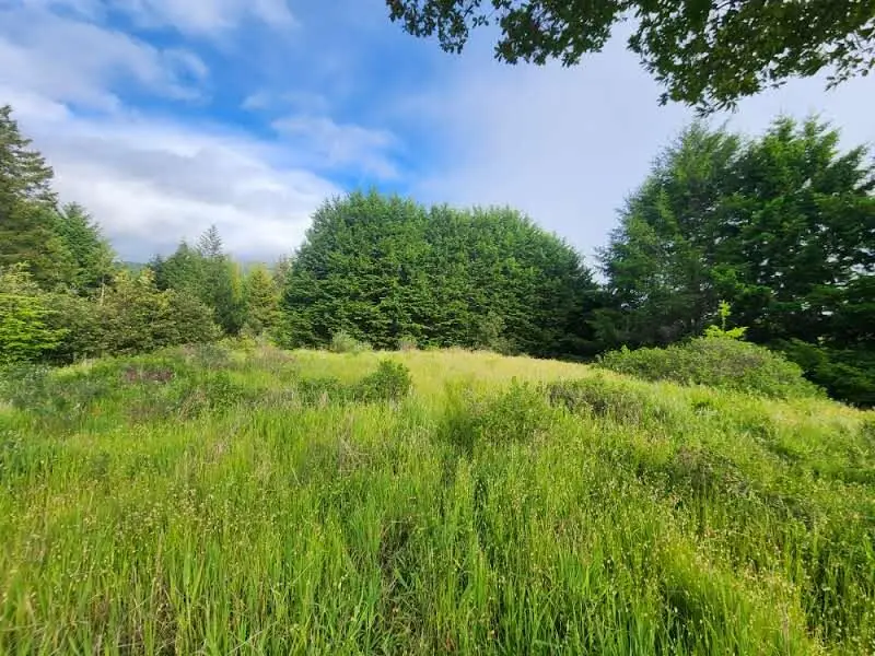 65 Eileen Road, Shelter Cove, CA 95589 - Image #3