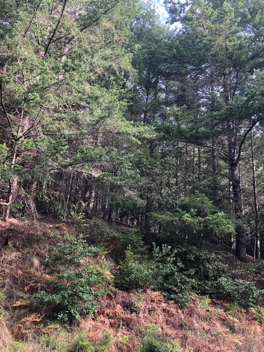 27 Buckhorn Court, Shelter Cove, CA 95589 - Image #2