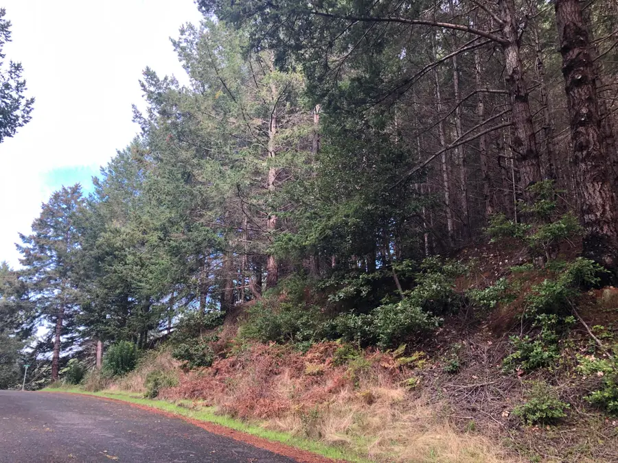 27 Buckhorn Court, Shelter Cove, CA 95589 - Image #3