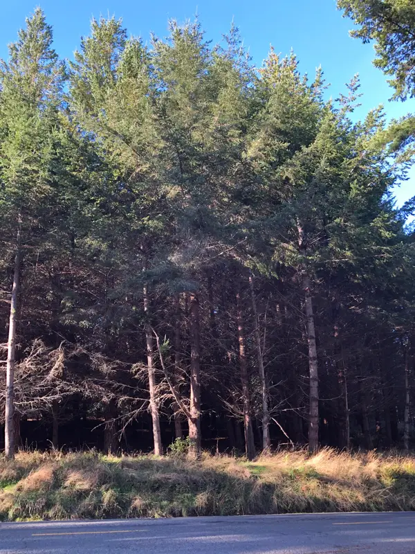 8936 Shelter Cove Road, Shelter Cove, CA 95589