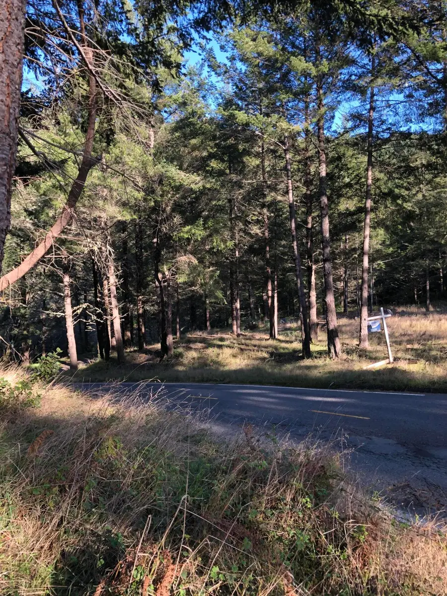 8936 Shelter Cove Road, Shelter Cove, CA 95589 - Image #3