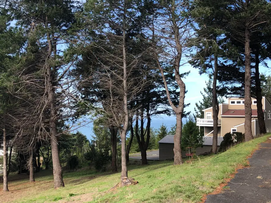 134 Albatross Road, Shelter Cove, CA 95589 - Image #2