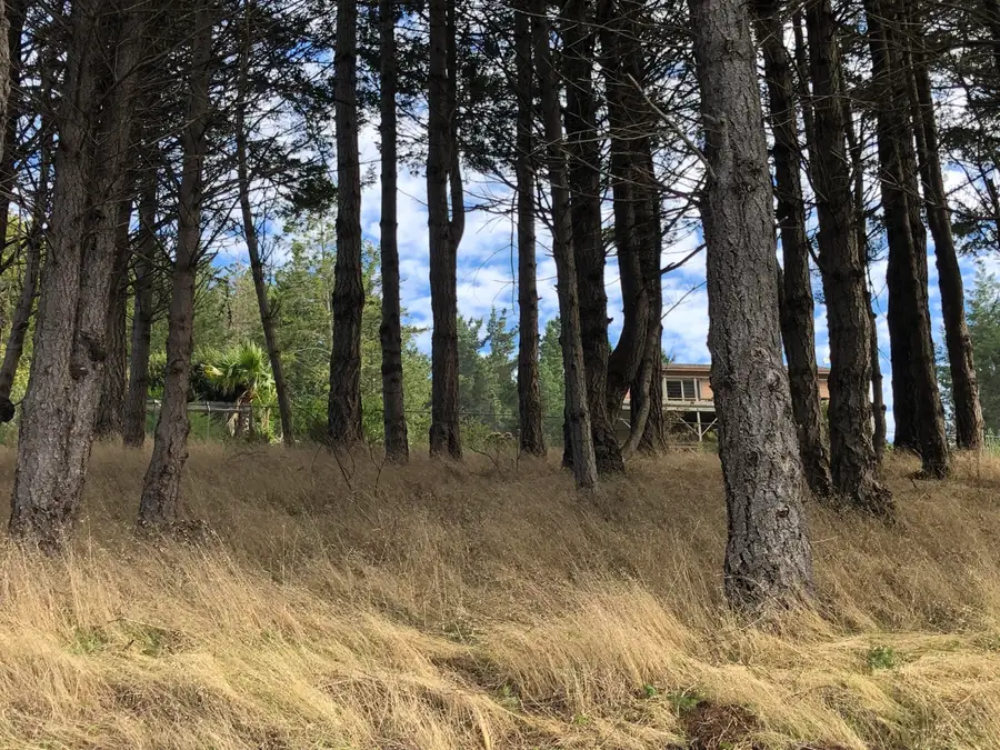 134 Albatross Road, Shelter Cove, CA 95589 - Image #3