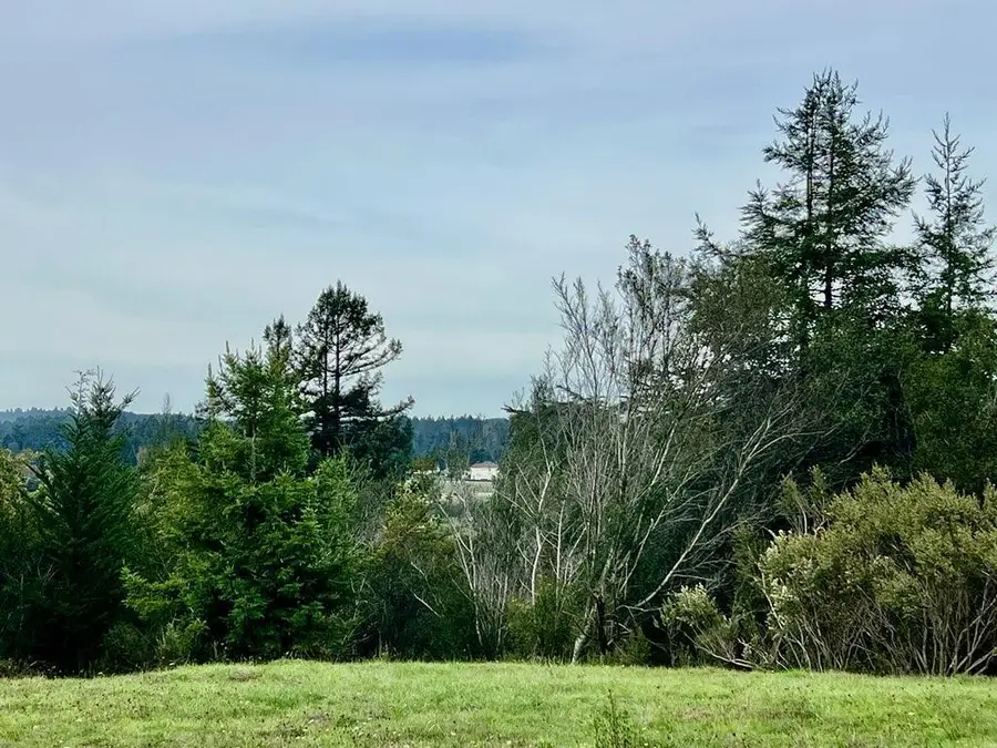 200 Ridge View Court, Fortuna, CA 95540 - Image #3