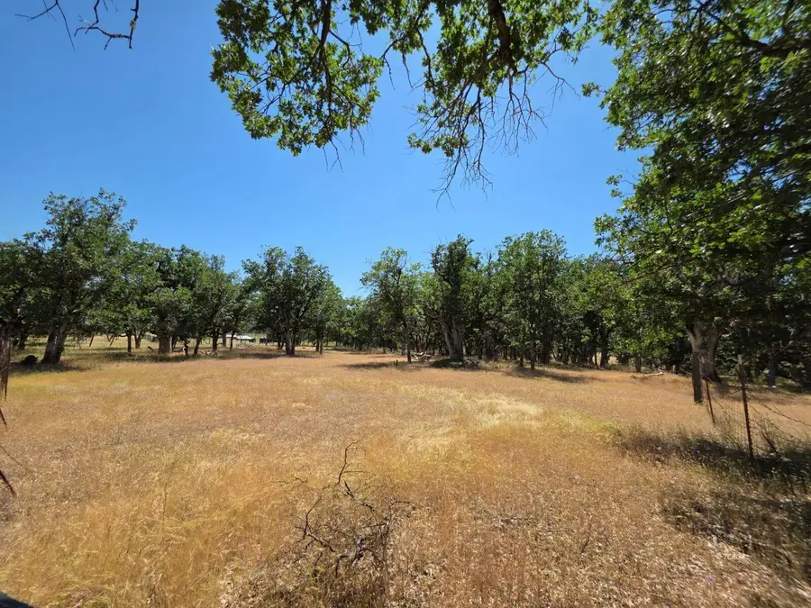 480 Oliva Drive, Hayfork, CA 96041 - Image #3