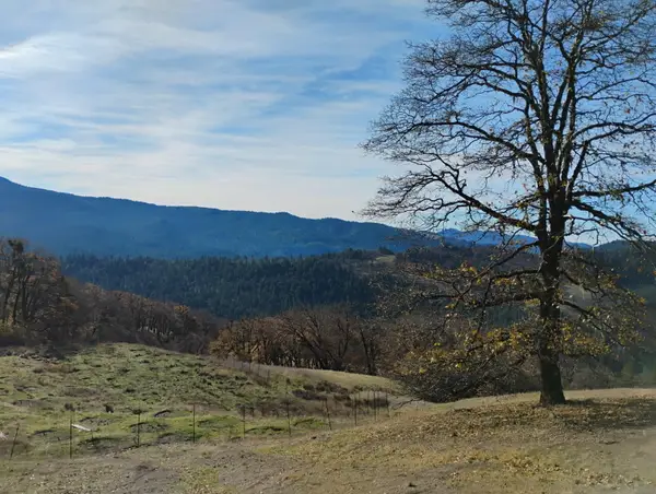 11 Bronco Court, Dinsmore, CA 95526