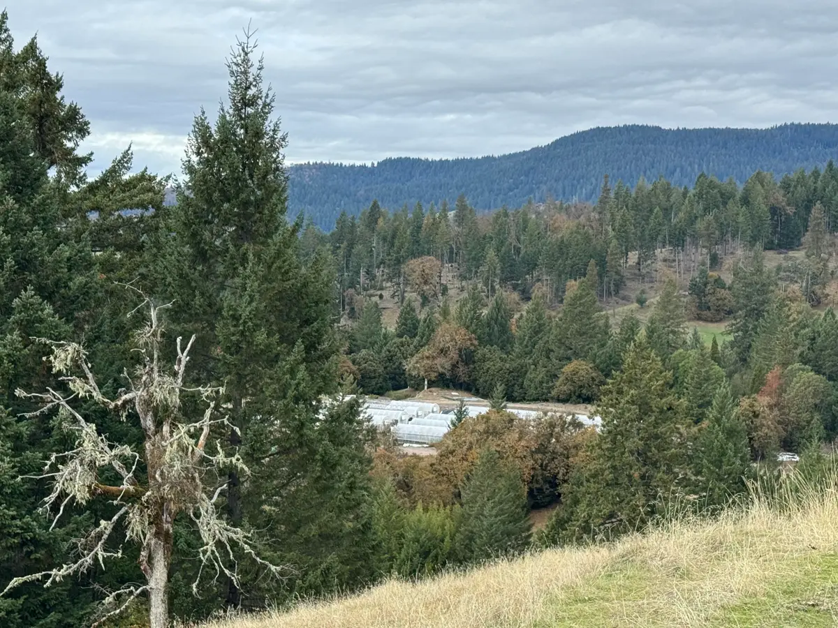 2281 Burgess Ranch Road, Zenia, CA 95595 - Image #1