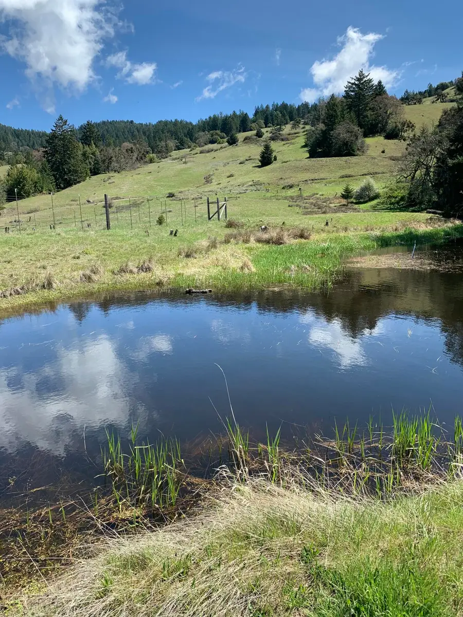 2281 Burgess Ranch Road, Zenia, CA 95595 - Image #2