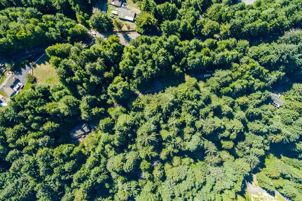 5423 Cummings Road, Freshwater, CA 95503