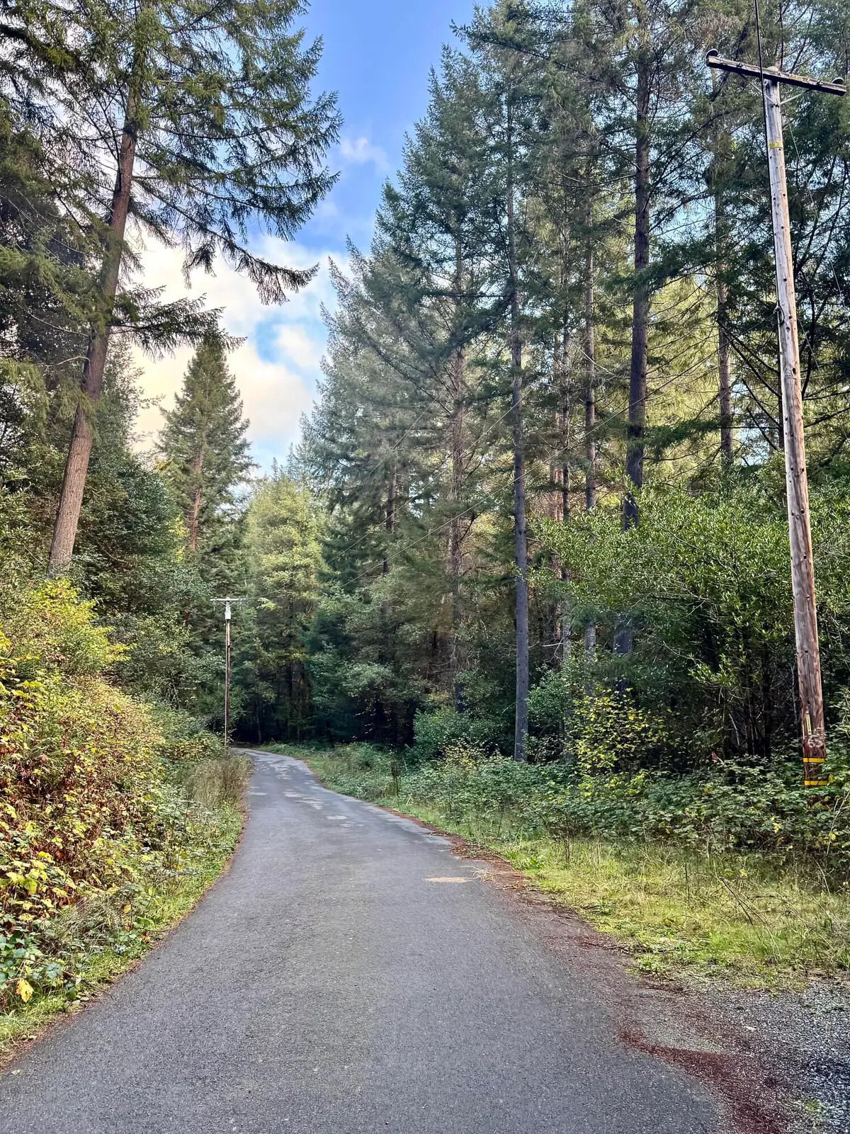 000 Tulley Creek Road, Willow Creek Hoopa Valley, CA 95546 - Image #1