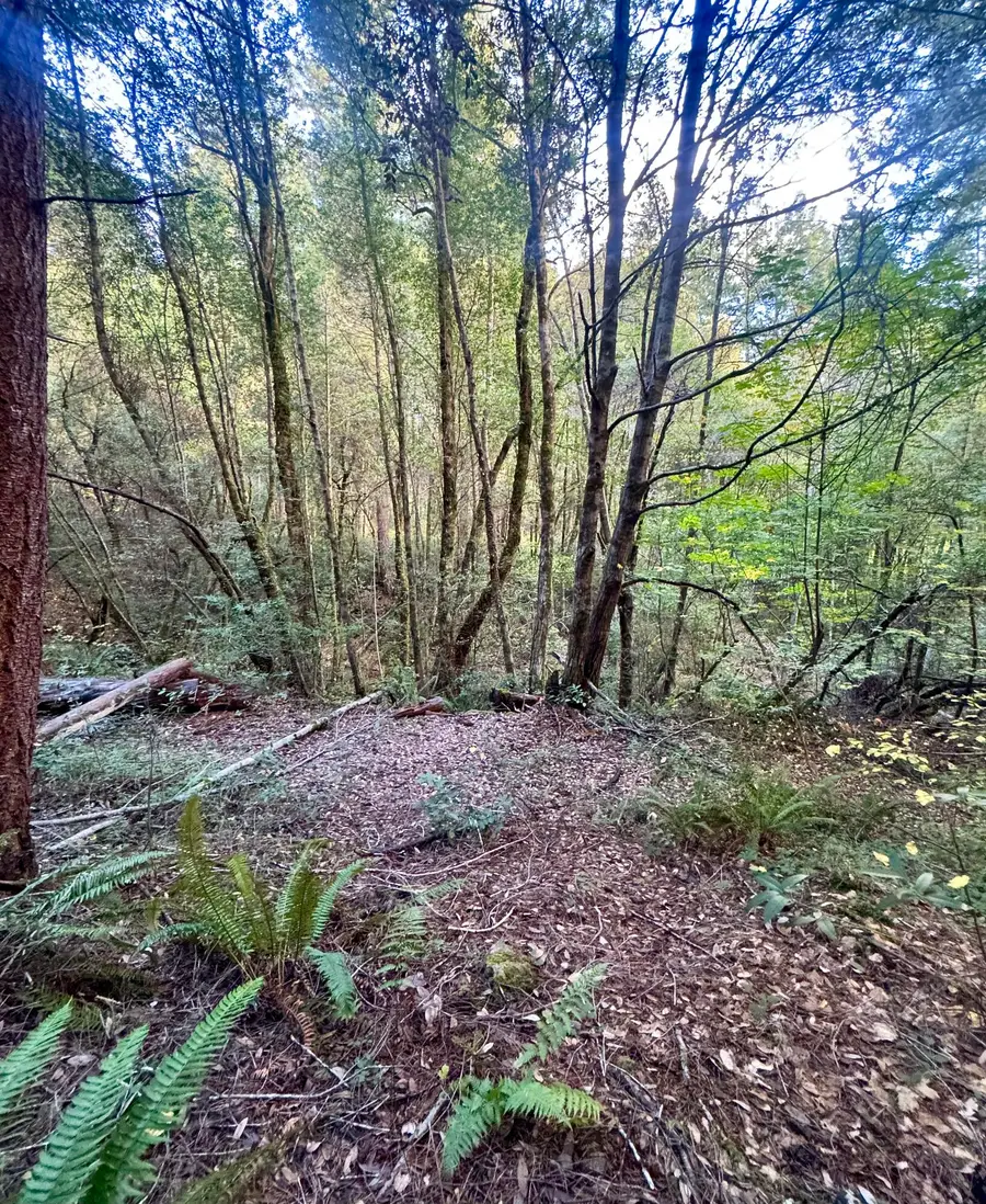 000 Tulley Creek Road, Willow Creek Hoopa Valley, CA 95546 - Image #2