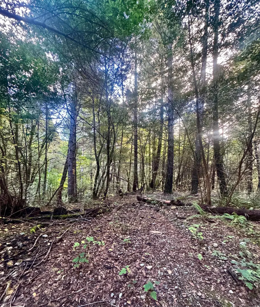 000 Tulley Creek Road, Willow Creek Hoopa Valley, CA 95546 - Image #3