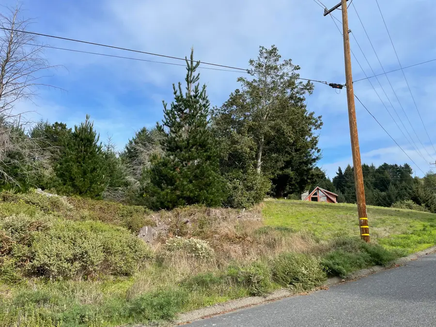 35 Debbie Lane, Whitethorn, CA 95589 - Image #2