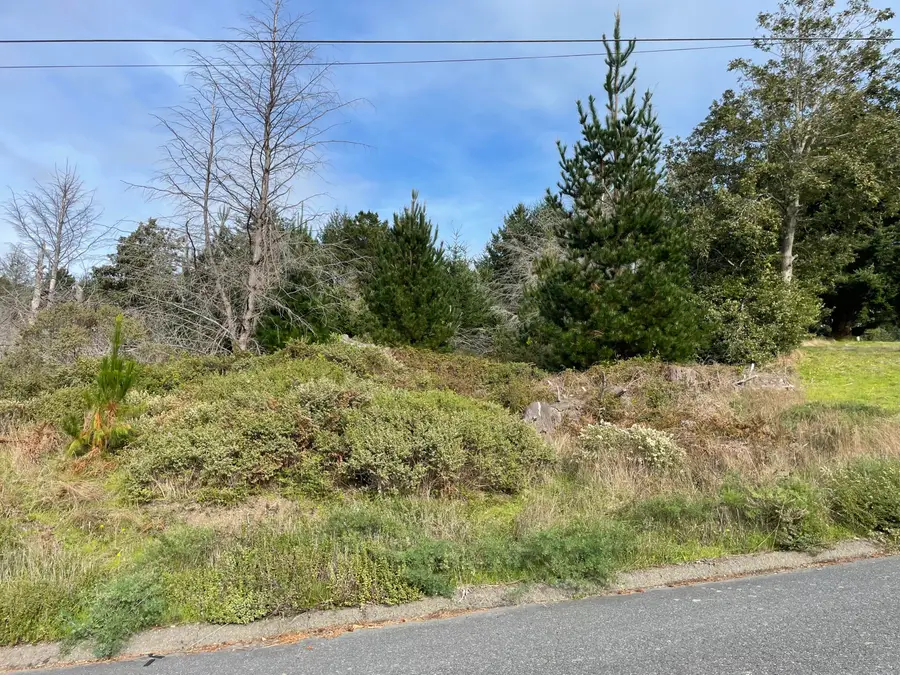 35 Debbie Lane, Whitethorn, CA 95589 - Image #3