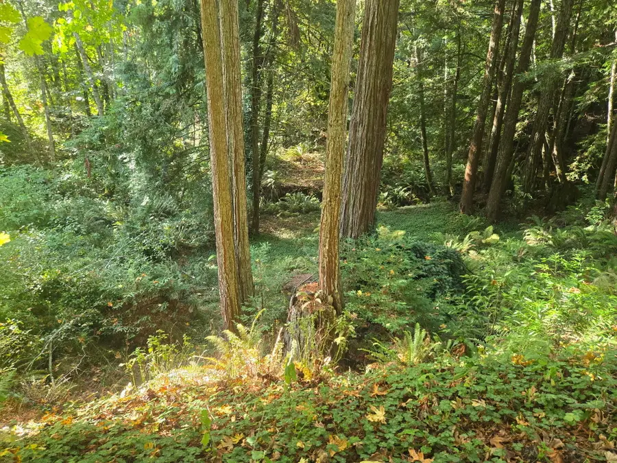 0 Wilder Road, Carlotta, CA 95528 - Image #3