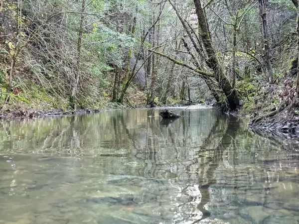 5200 Briceland Road, Redway, CA 95560