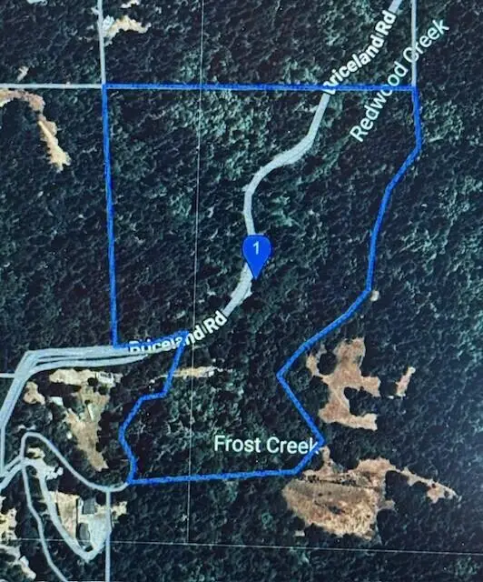 5200 Briceland Road, Redway, CA 95560 - Image #3