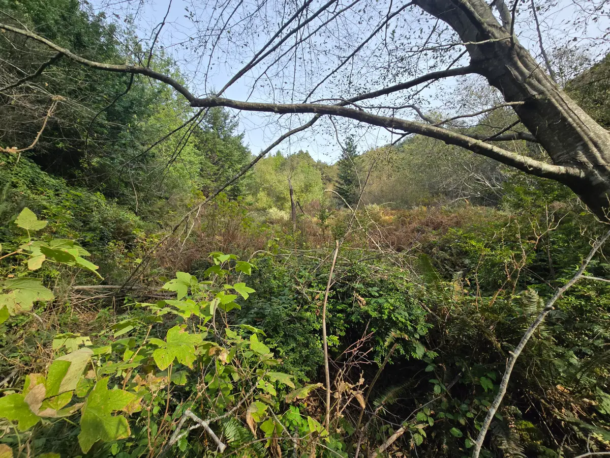 00 & 000 Wolverine Way, Whitethorn, CA 95589 - Image #1