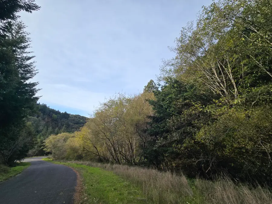 00 & 000 Wolverine Way, Whitethorn, CA 95589 - Image #2