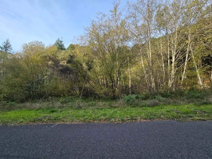 00 & 000 Wolverine Way, Whitethorn, CA 95589 - Image #3