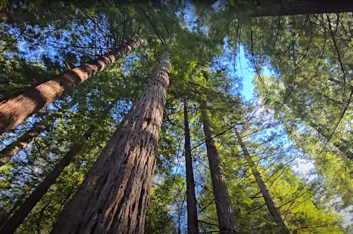 1777 Sprowl Creek Road, Garberville, CA 95542 - Image #1