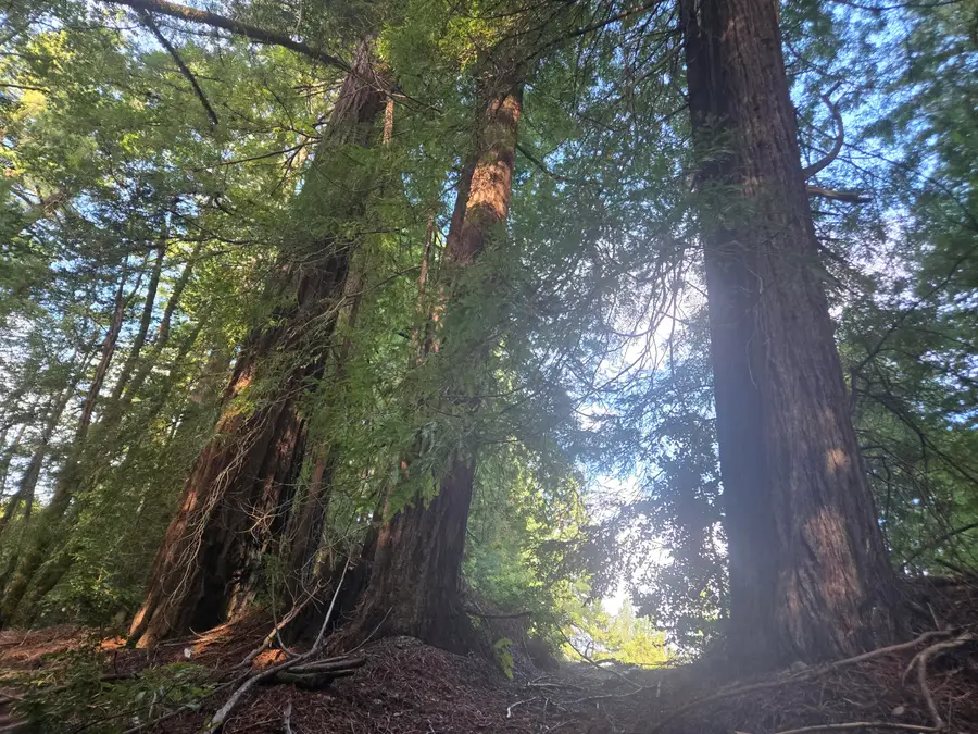 1777 Sprowl Creek Road, Garberville, CA 95542 - Image #2