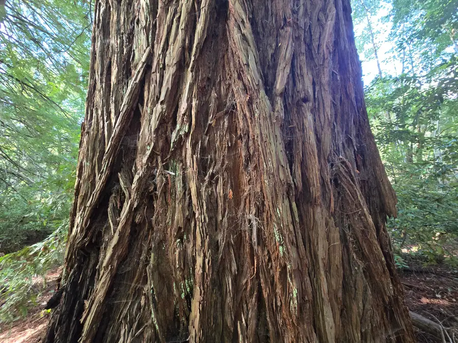 1777 Sprowl Creek Road, Garberville, CA 95542 - Image #3