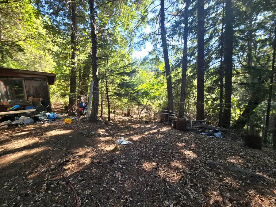 00 Panther Gap Road, Honeydew, CA 95545 - Image #3