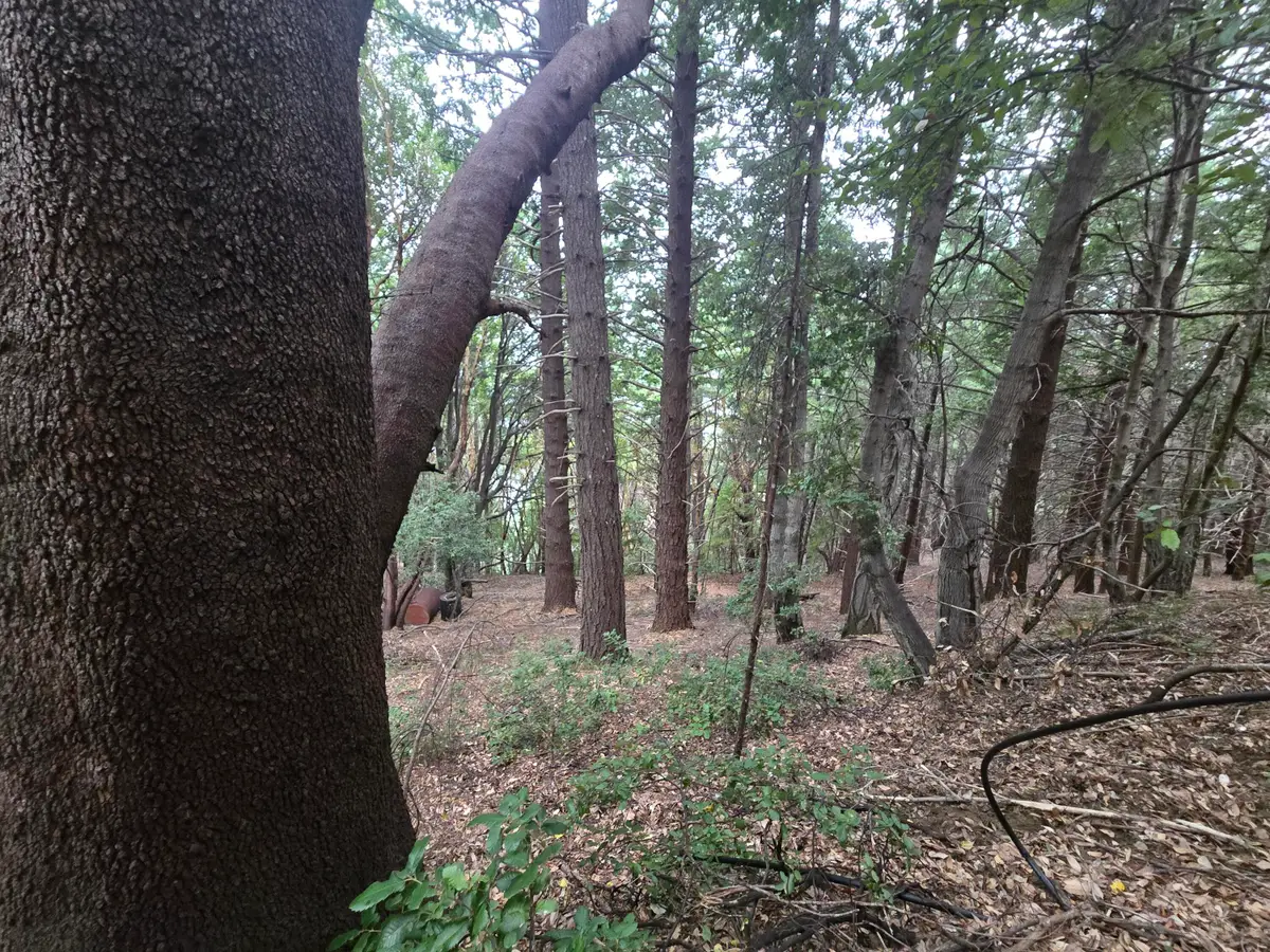 000 Panther Gap Road, Honeydew, CA 95545 - Image #1