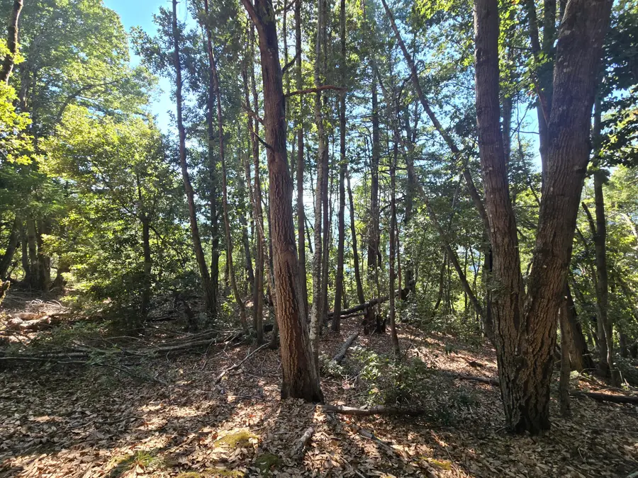 000 Panther Gap Road, Honeydew, CA 95545 - Image #2