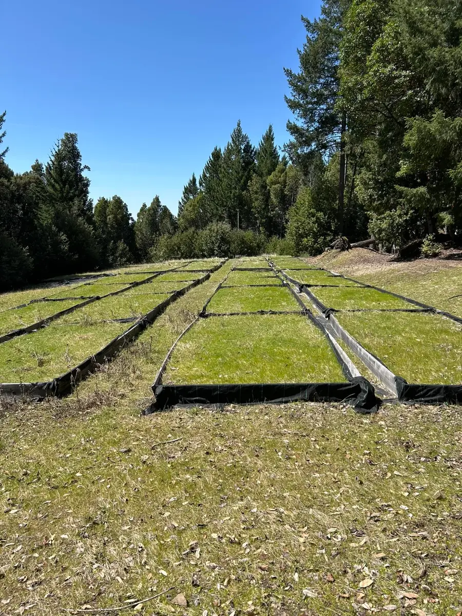 000 Panther Gap Road, Honeydew, CA 95545 - Image #3