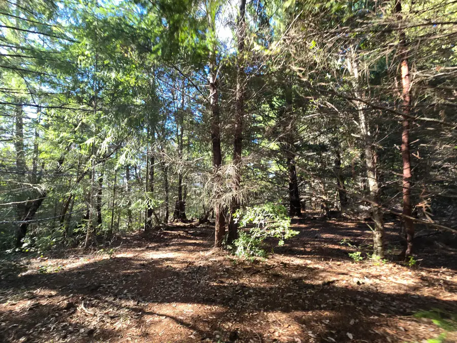 00 Bell Spring Road, Garberville, CA 95542 - Image #2