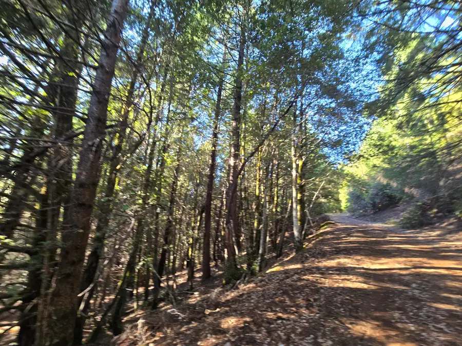 00 Bell Spring Road, Garberville, CA 95542 - Image #3