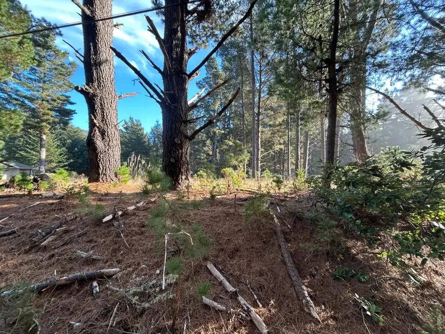 9020 Shelter Cove Road, Shelter Cove, CA 95589 - Image #3