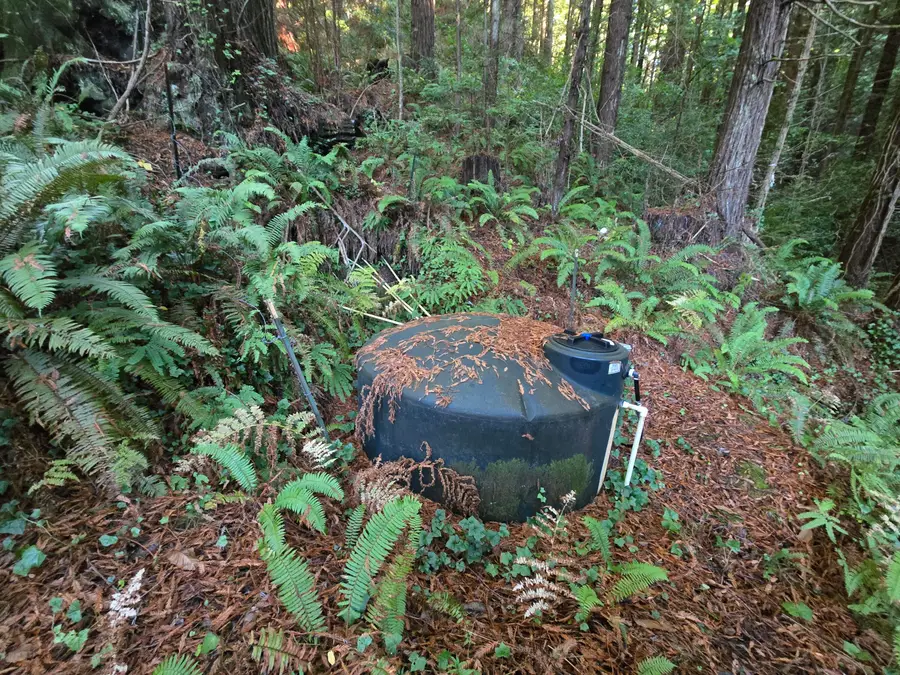 316 Paradise Drive, Fortuna, CA 95540 - Image #3