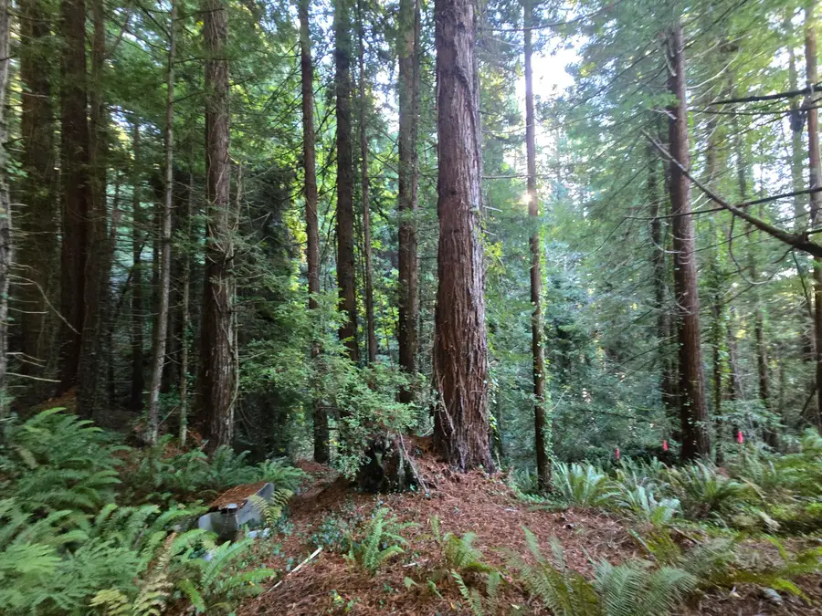 301 Paradise Drive, Fortuna, CA 95540 - Image #2