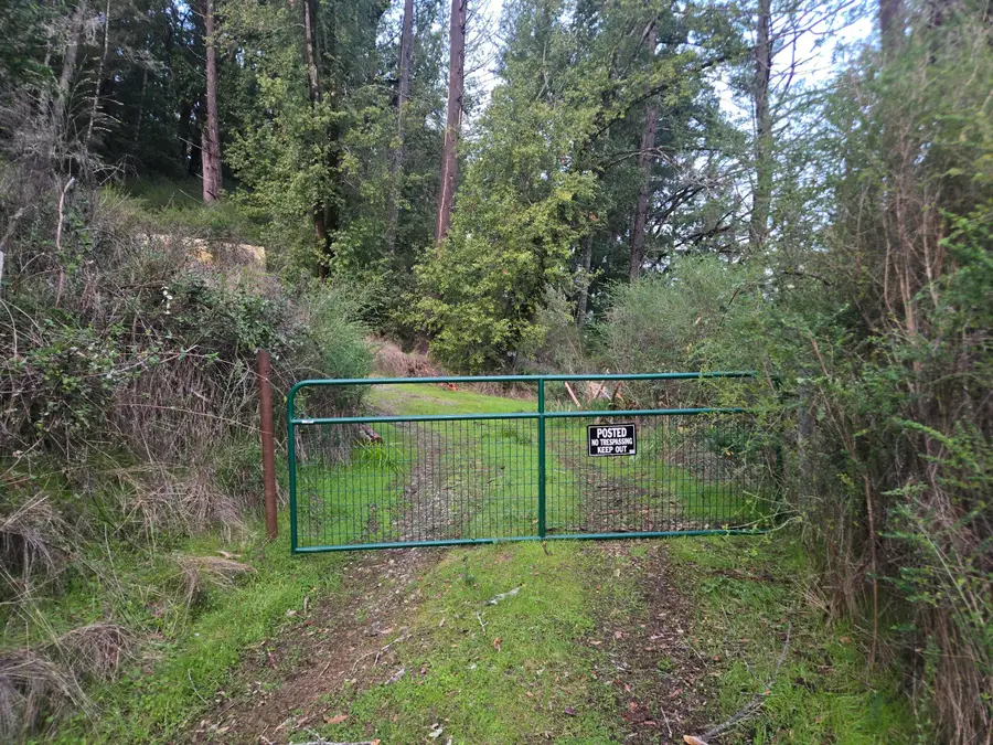 250 & 314 Oakcrest Drive, Benbow, CA 95542 - #2