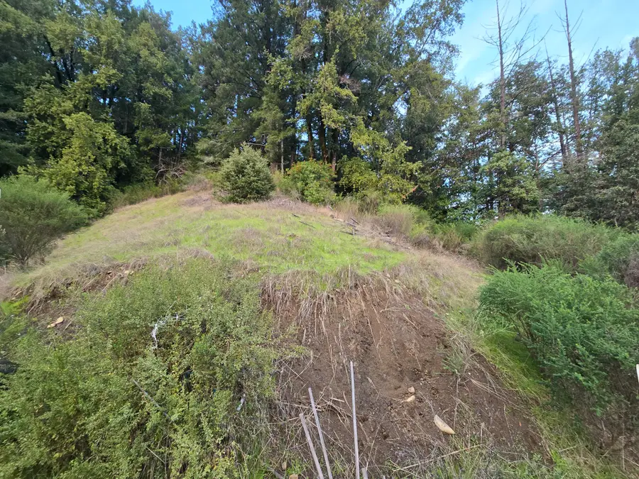 250 & 314 Oakcrest Drive, Benbow, CA 95542 - #3