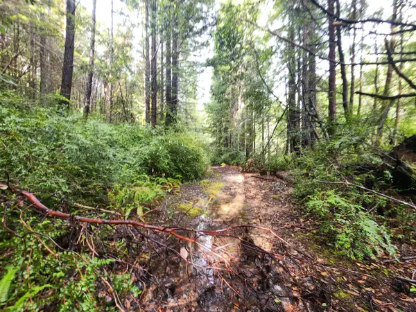 78030 Moody Road, Piercy, CA 95587