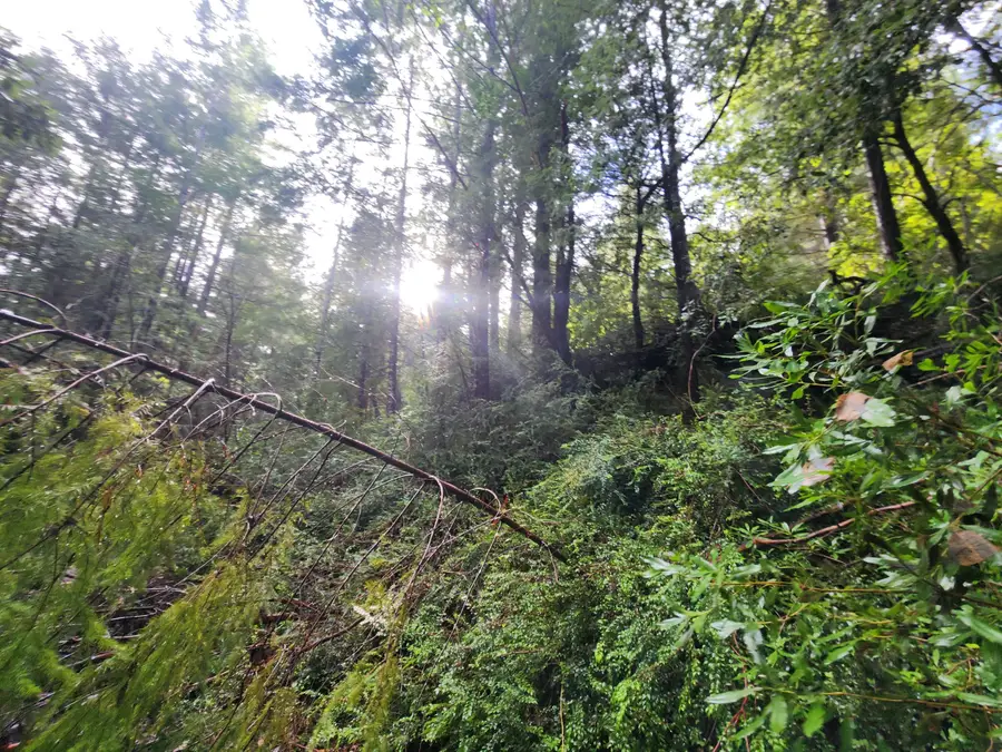 78030 Moody Road, Piercy, CA 95587 - #2