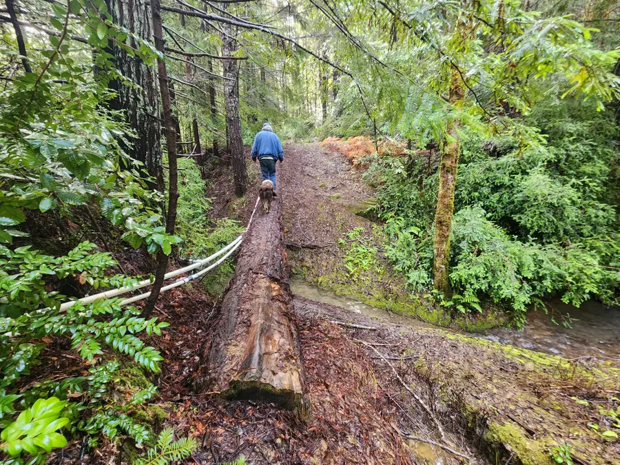 78030 Moody Road, Piercy, CA 95587 - #3