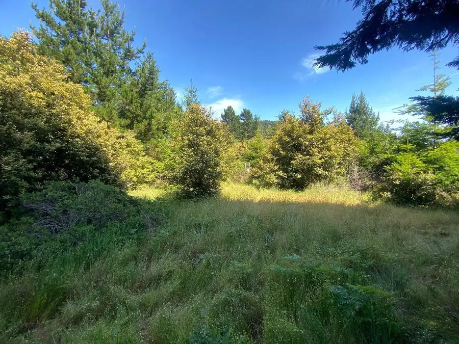 196 Ridge Road, Shelter Cove, CA 95589 - #2