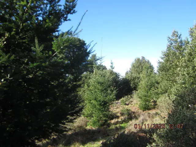 2715 Toth Road, Shelter Cove, CA 95589 - Image #2