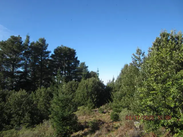 2715 Toth Road, Shelter Cove, CA 95589 - Image #3