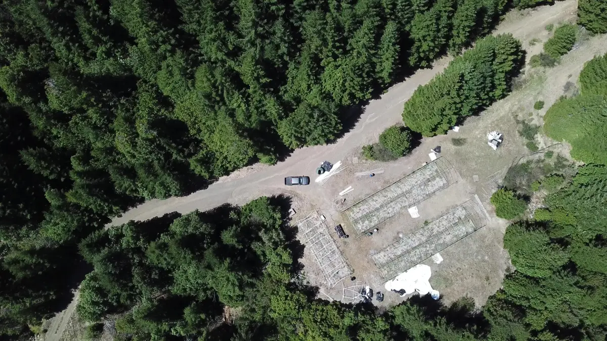 19265 Usfs Route 1 Road, Korbel, CA 95550 - Image #1